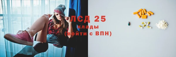 прущие грибы Кулебаки