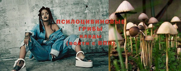 кокс Кукмор