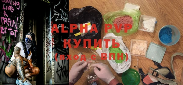 прущие грибы Кулебаки