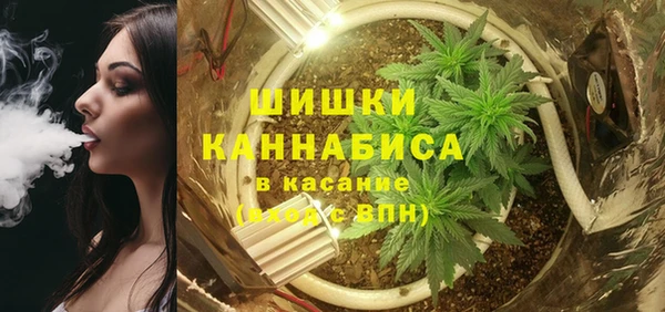 прущие грибы Кулебаки