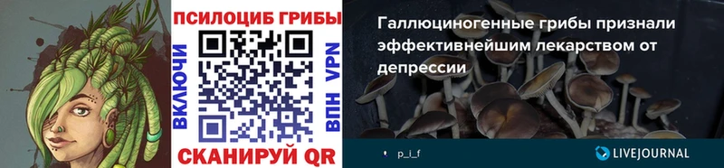 где купить наркоту  Электросталь  Галлюциногенные грибы Psilocybe 