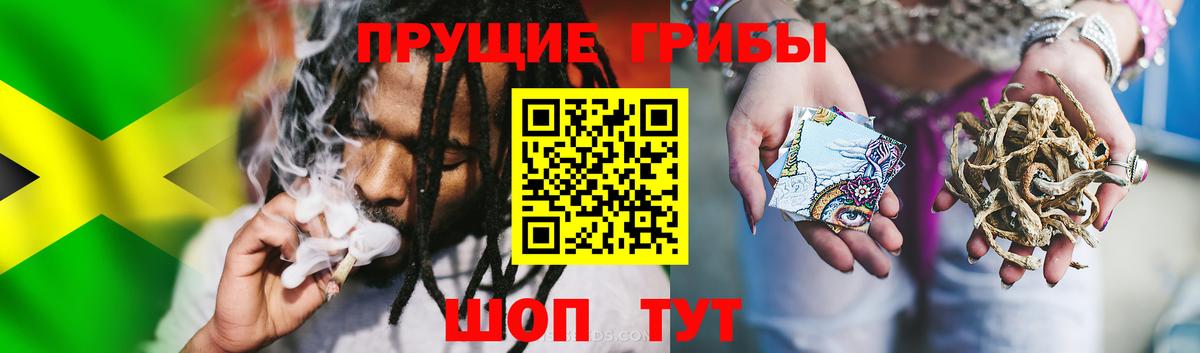 где можно купить наркотик  Галлюциногенные грибы Psilocybe  Вход с VPN  Электросталь 